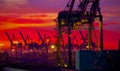 Port Loading Cranes in the Pre dawn Light Royalty Free Stock Photo