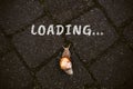Loading, downloading, slow internet speed concept with word loading and Brown garden snail crawling the road