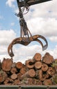 Loading of felled timber in a truck with crane Royalty Free Stock Photo