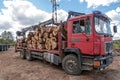 Loading of felled timber in a truck with crane Royalty Free Stock Photo