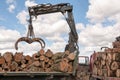 Loading of felled timber in a truck with crane Royalty Free Stock Photo