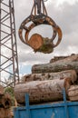 Loading of felled timber in a truck with crane Royalty Free Stock Photo