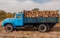 Loading of felled timber in a truck with crane Royalty Free Stock Photo