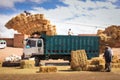 Loading haystacks on a truck. Skoura. Morocco. Royalty Free Stock Photo