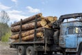 Loading heavy industrial truck trailer with big timber pine, spruce, cedar logs by crane grab loader tractor machine Royalty Free Stock Photo