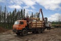 Loading logs on a logging truck. Portable crane on a logging truck