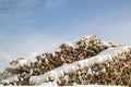 Loading logs on a logging truck. Wood loader. Woodworking industry Royalty Free Stock Photo