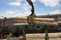 Loading logs onto a logging truck. Portable crane on a logging truck