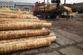 Loading logs onto a logging truck. Portable crane on a logging truck Royalty Free Stock Photo