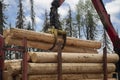 Loading logs onto a logging truck. Portable crane on a logging truck