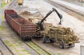 Loading Lumber Into Freight Train at Railway Yard During Daytime Royalty Free Stock Photo