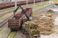 Loading Lumber Into Freight Train at Railway Yard During Daytime Royalty Free Stock Photo