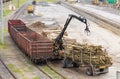 Loading Lumber Into Freight Train at Railway Yard During Daytime Royalty Free Stock Photo