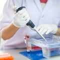Loading samples into gel for electrophoresis Royalty Free Stock Photo