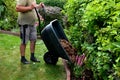 Loading torture wood chips bark on a wheel with a shovel from a car and delivery to the garden where ornamental perennial beds are