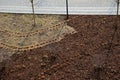 Loading torture wood chips bark on a wheelbarrow  with a shovel from a car and delivery to the garden where ornamental perennial b Royalty Free Stock Photo