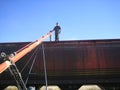 Loading wheat into railcar