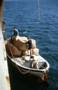 Loading wool bales