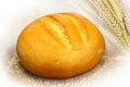 A loaf of bread on an abstract background of ears of corn and burlap. Royalty Free Stock Photo