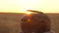 Loaf of bread with an ear of wheat, in hands of girl over wheat field in sunset. close-up. tasty loaf of bread on palms Royalty Free Stock Photo