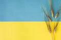 Loaf of bread and ears of wheat on a yellow and blue background Royalty Free Stock Photo