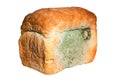 Loaf of bread with mildew isolated Royalty Free Stock Photo