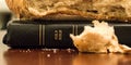 Holy Bible with loaf of bread on top and crumb in front Royalty Free Stock Photo