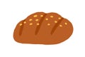 Loaf of brown rye bread. Fresh whole-grain bakery. Cereal food from dough with sesame seeds. Colored flat vector