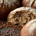 Loaf of buckwheat bread. Freshly baked dark grain bread, broken in half. Homemade whole wheat bread made from dark flour