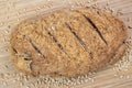 Loaf of Bulgar Wheat Bread from Overhead