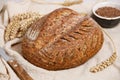Loaf of freshly baked homemade sourdough bread Royalty Free Stock Photo