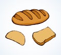 Loaf of long bread. Vector drawing