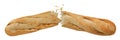 Loaf of long white bread isolated on white background. A loaf of crispy French baguette broken in half, crumbs flying in Royalty Free Stock Photo