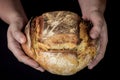 Loaf or miche of French sourdough, called as well as Pain de campagne, on display isolated on a black background held by female