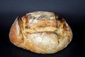 Loaf or miche of French sourdough, called as well as Pain de campagne, on display isolated on a black background.