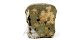 A loaf of moldy brown bread on an isolated background Royalty Free Stock Photo