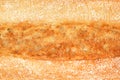 Loaf of traditional italian bread ciabatta. Royalty Free Stock Photo