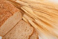 Loaf of wheat bread and shocks of wheat Royalty Free Stock Photo