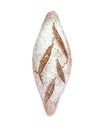 A loaf of whole grain rye bread on white background Royalty Free Stock Photo