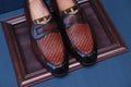 Loafer shoes with