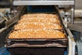 Loafs of bread in the factory Royalty Free Stock Photo