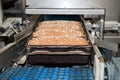 Loafs of bread in the factory Royalty Free Stock Photo