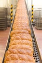 Loafs of bread in the factory Royalty Free Stock Photo