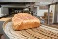 Loafs of bread in the factory Royalty Free Stock Photo