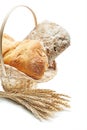 Loafs of bread in wicker basket and bunch of wheat ears isolated on white background Royalty Free Stock Photo