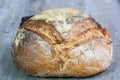 Loafs or miche of French sourdough, called as well as Pain de campagne, on display on a wooden table.