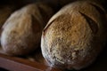 Loafs of rustic freshly baked sour dough bread Royalty Free Stock Photo