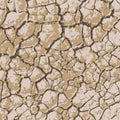 Loamy soil texture