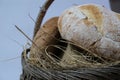 loaves of bread from the bakery in the store. Basket wicker with pastries. Royalty Free Stock Photo