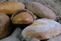 loaves of bread from the bakery in the store. Burlap and straw with pastries. Various loaves, baguettes. Royalty Free Stock Photo